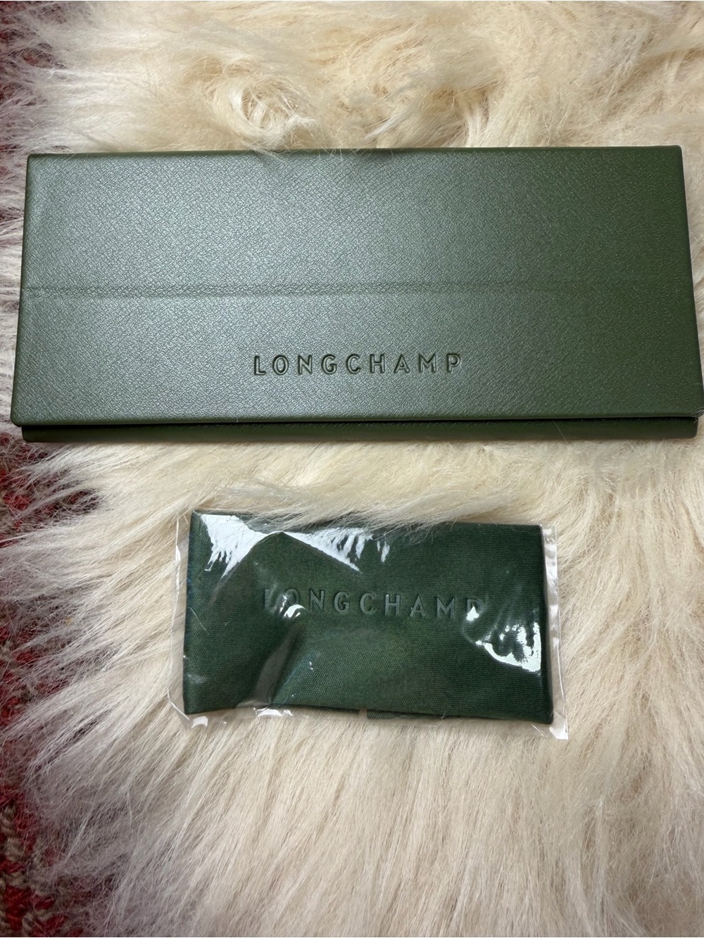 Longchamp Green Leather Eyewear Case and Cloth Set